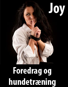 thai massage kalundborg thai massage hørsholm hovedgade thai massage kalundborg thai massage hørsholm hovedgade